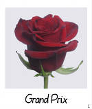 Grand Prix